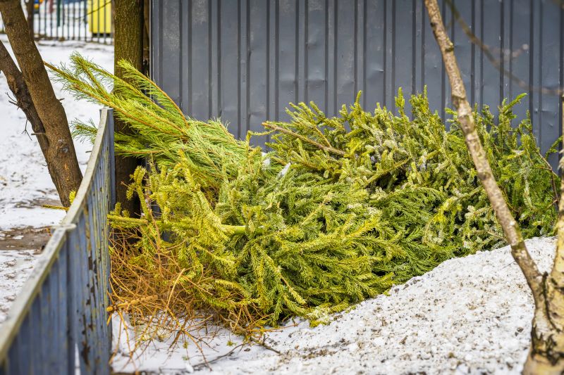 Pine Needle Delivery
