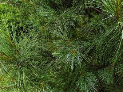Get High Quality Material Quickly Delivered To your Property