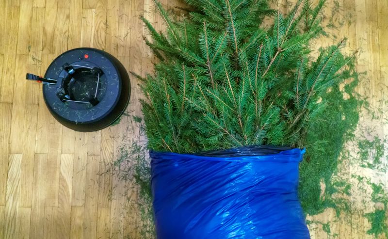 Contact About Pine Needle Delivery